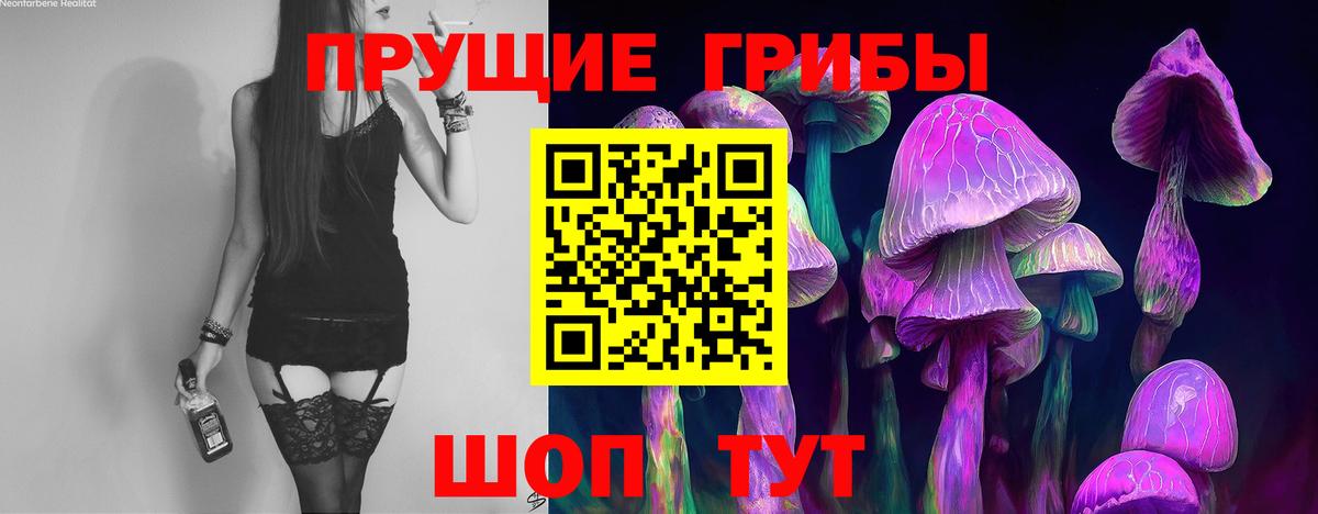 Иваново  Псилоцибиновые грибы GOLDEN TEACHER  Вход с VPN  Псилоцибиновые грибы Psilocybine cubensis 
